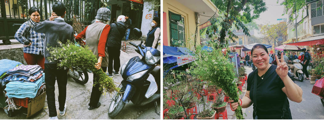 Không phải mai đào rực rỡ, đây mới là mùi hương 