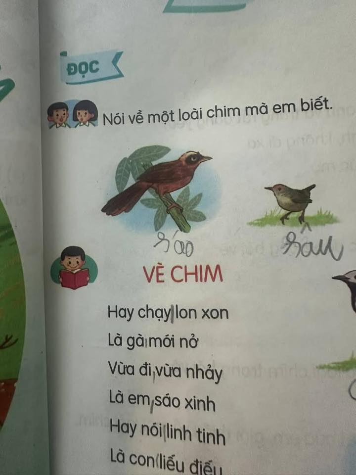 Người này cũng dẫn lời giải thích từ ChatGPT và nhận định: Từ đúng phải là 