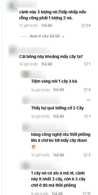 Netizen sôi nổi đoán giá 
