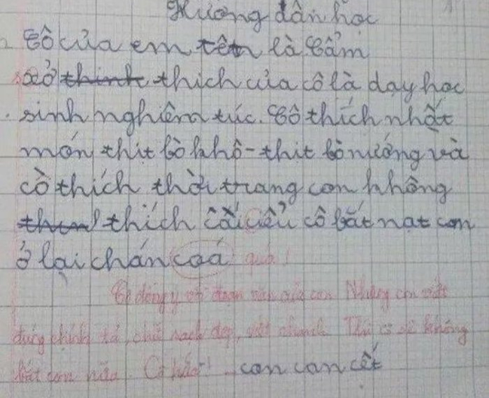 Dòng phê vừa nghiêm khắc vừa hài hước khiến nhiều người cho rằng cô giáo chắc hẳn cũng phải “dở khóc dở cười” khi đọc bài văn này.