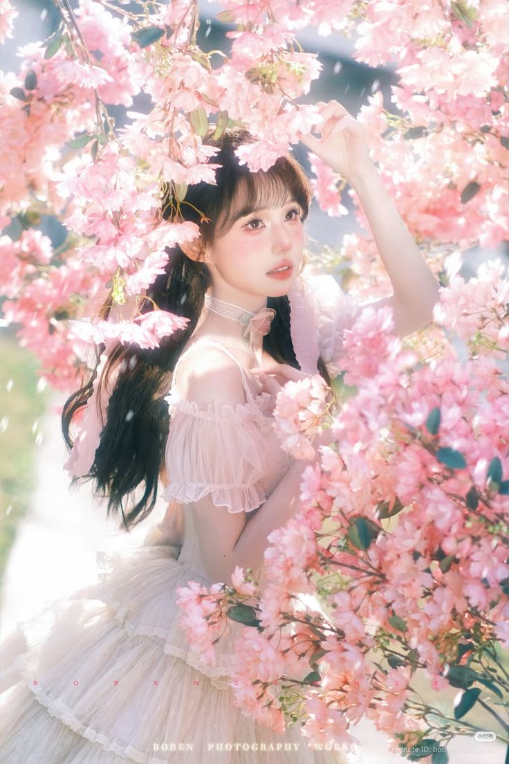 Dự báo biến động số dư của 12 cung hoàng đạo trong tháng 2 Âm lịch