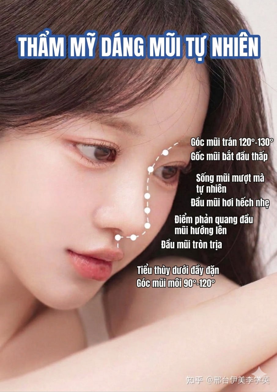 Đặc điểm của xu hướng dáng mũi trời sinh - gồ tự nhiên để cảm giác 