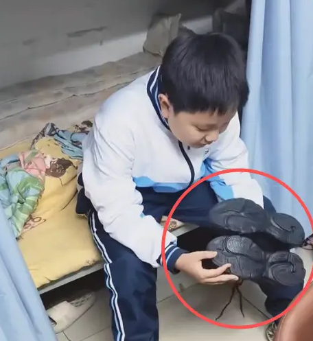 Cậu bé không thích màu sắc của đôi giày