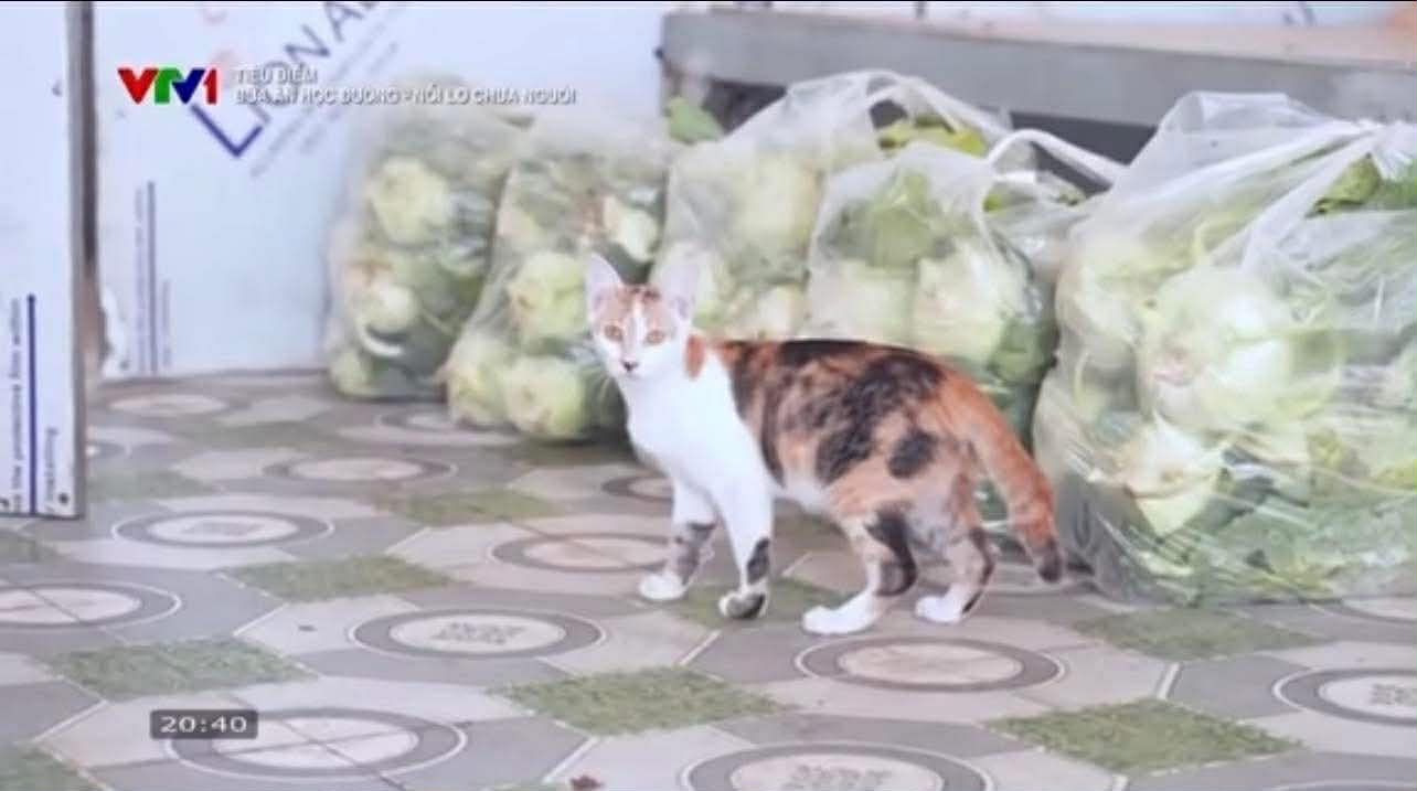 Những câu trả lời NGÂY NGÔ đến VÔ LÝ của bà hiệu trưởng và ông chủ cơ sở cung cấp suất ăn bán trú: Không biết nên cười hay mếu!