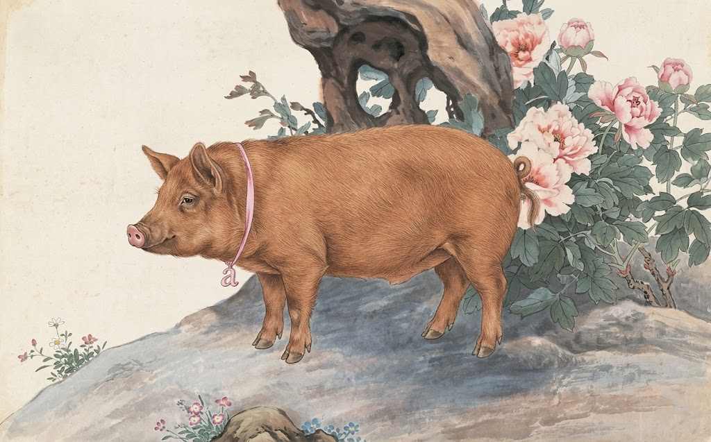 Điểm mặt 3 tuổi 