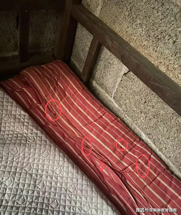 Nếu chỉ vì hoàn cảnh kinh tế khó khăn, không có phòng riêng, người ta có thể phần nào cảm thông. Nhưng điều khiến nhiều người bức xúc là ngay cả không gian nhỏ bé đó cũng không được dọn dẹp tử tế. 