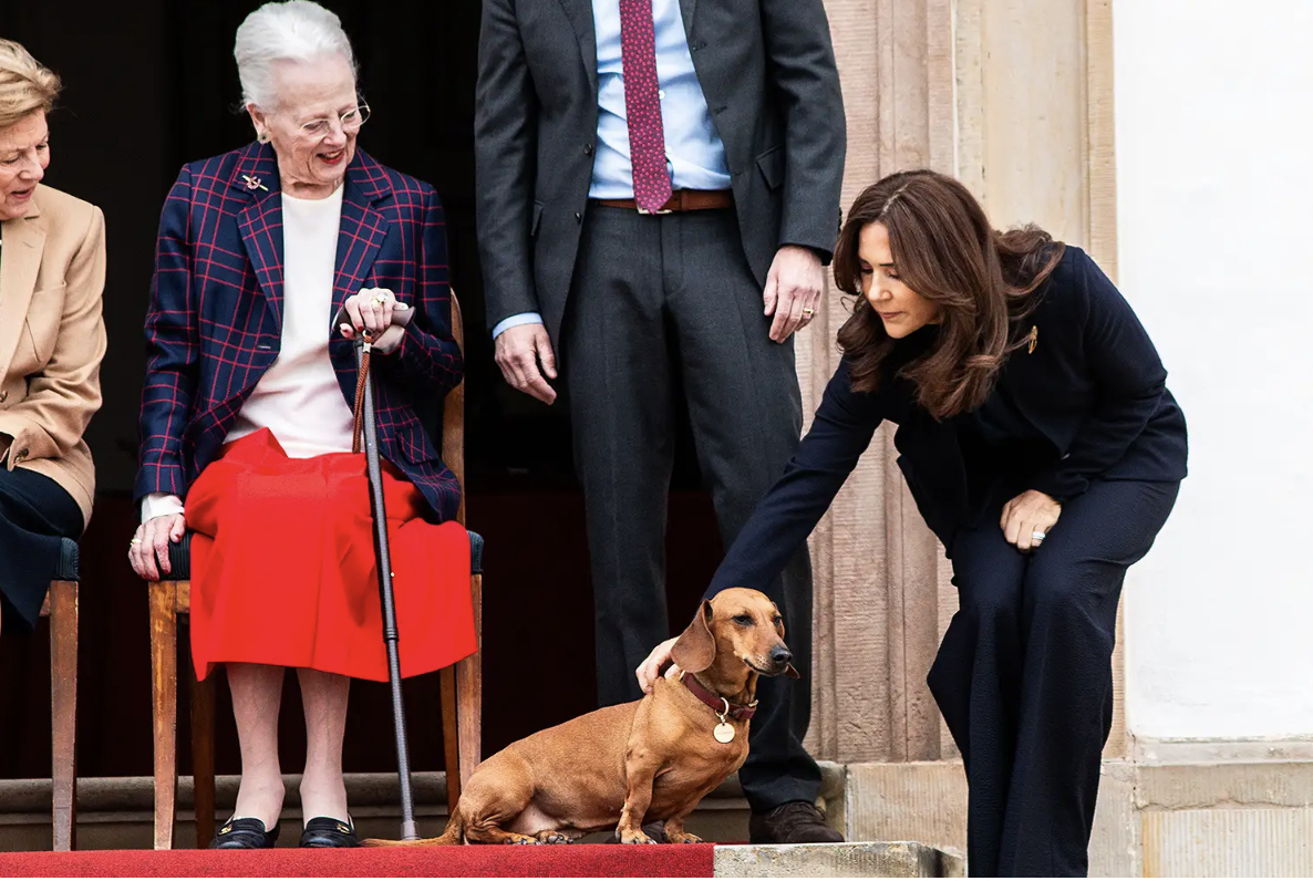 Sượng trân giữa sự kiện: Nữ hoàng Margrethe chấn chỉnh Vương hậu Mary chỉ vì một chú chó cưng