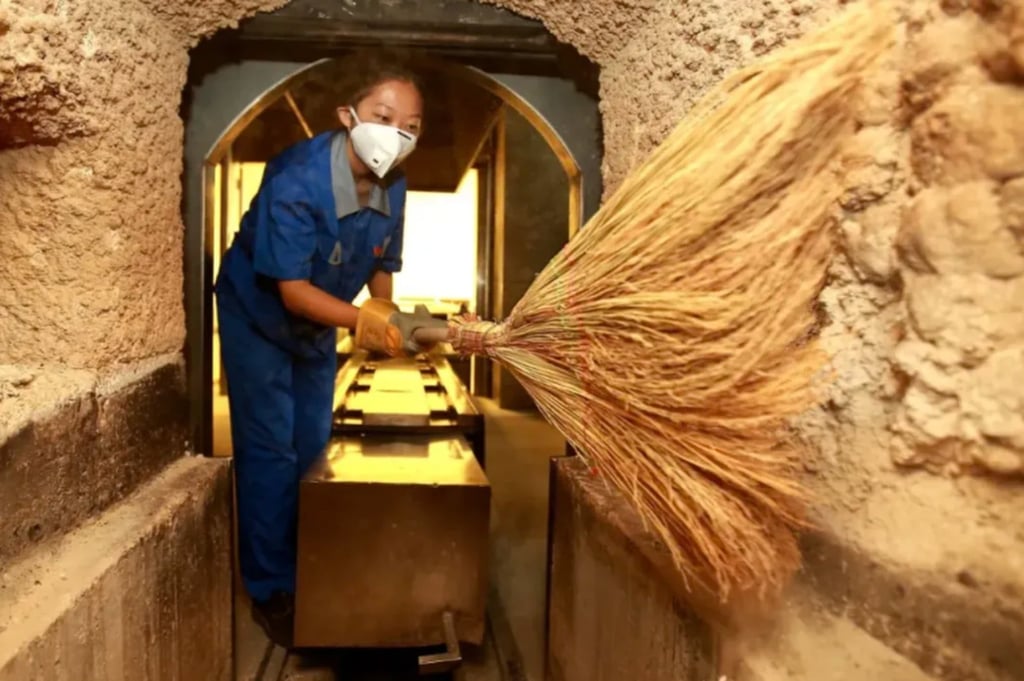 Cả thanh xuân làm bạn cùng tro cốt: Lời tự sự của những đóa 