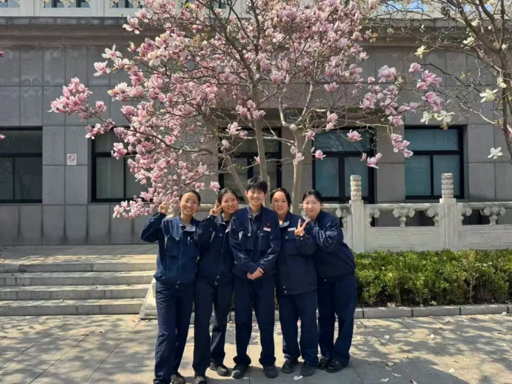 Cả thanh xuân làm bạn cùng tro cốt: Lời tự sự của những đóa 