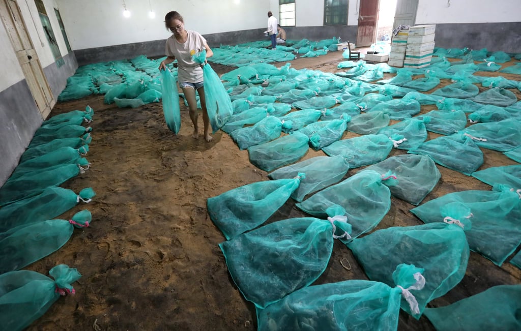 Cử nhân đại học bỏ phố về quê nuôi 60 nghìn con rắn độc, thu lãi sương sương hơn 3,8 tỷ đồng mỗi năm