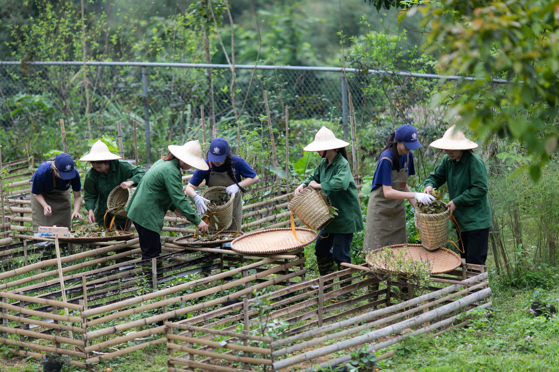 Mô hình Hợp tác xã do học sinh Trung học khởi tạo: Sinh kế bền vững cho phụ nữ dân tộc thiểu số địa phương từ tri thức bản địa 