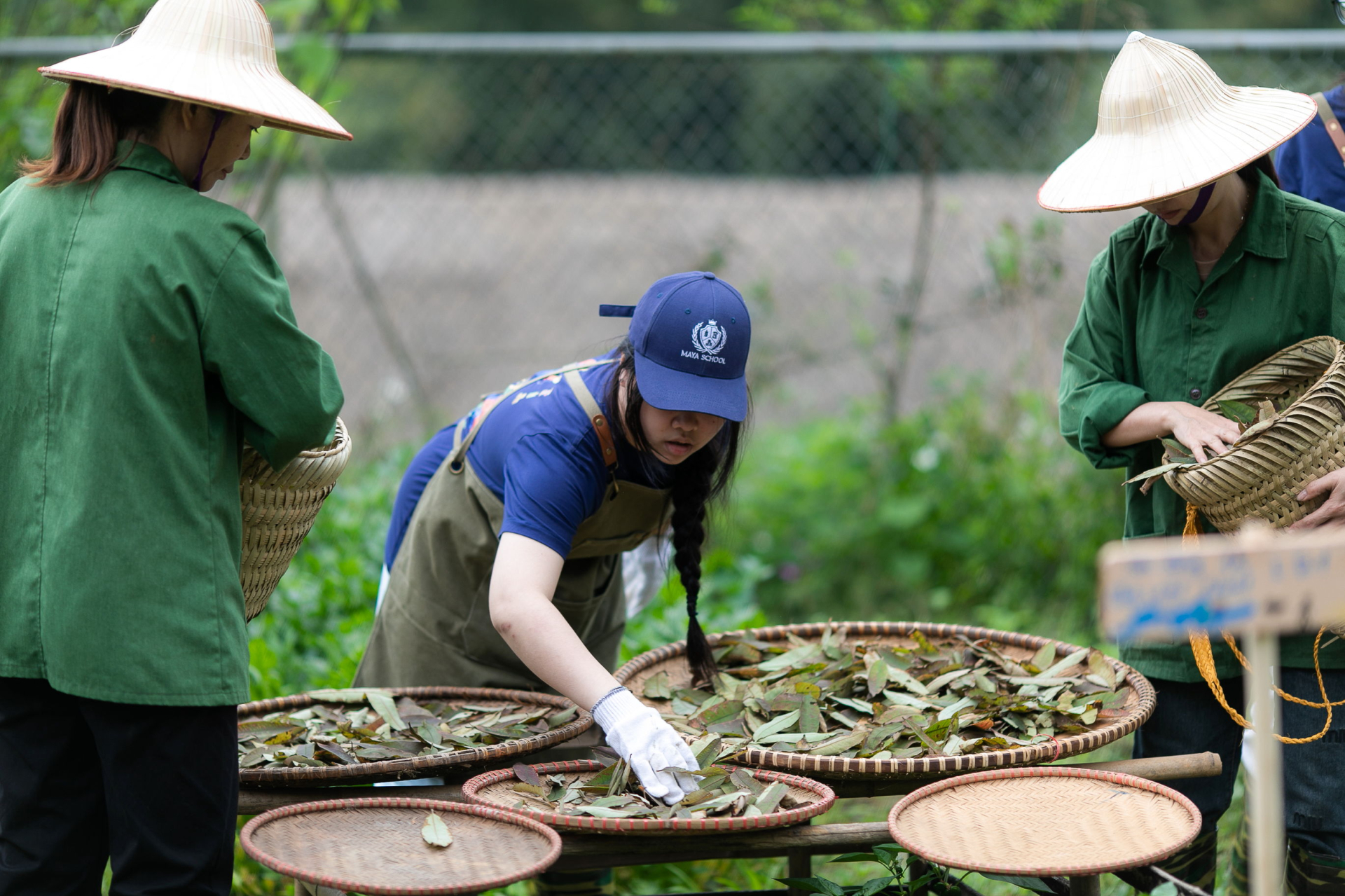   HTX Embera hứa hẹn là hướng đi bền vững để bảo tồn thảo mộc bản địa và tạo sinh kế cho người dân tộc tại địa phương   