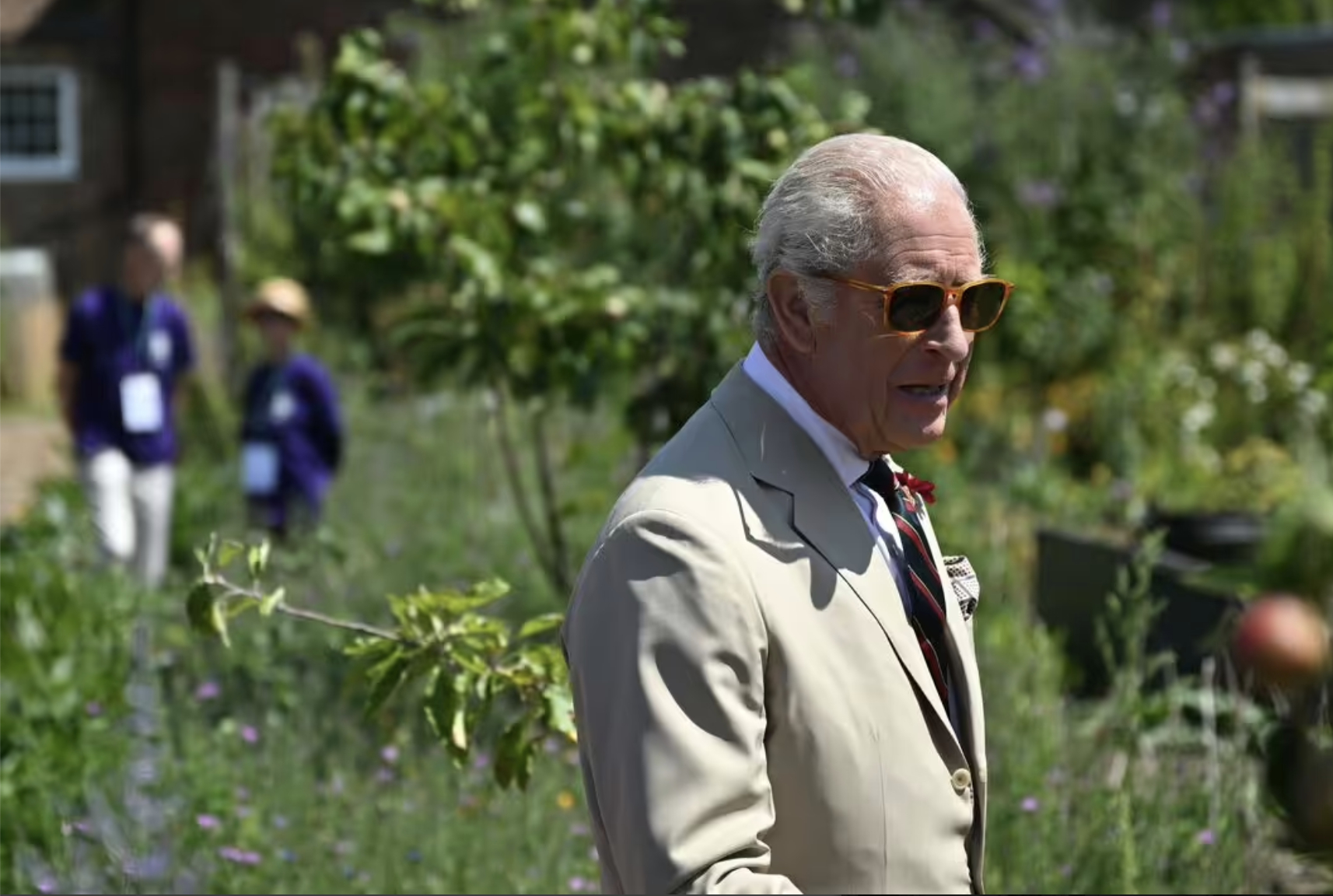 Quy tắc làm vườn kỳ lạ của Vua Charles: Cà rốt phải nhỏ bằng ngón tay út, bí ngô thì tuyệt đối không