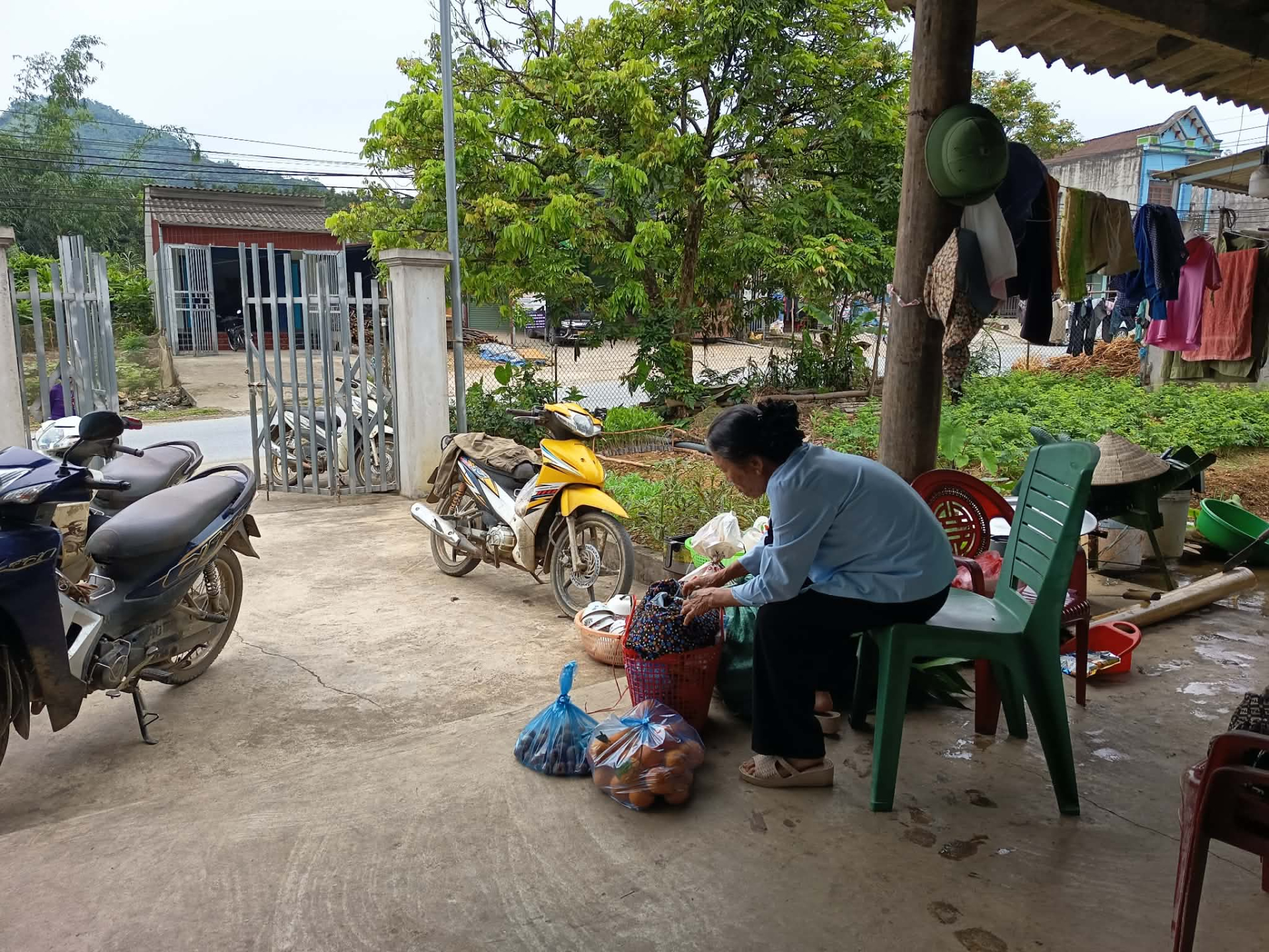 Nhìn mẹ tôi mang đồ quê lên biếu thông gia và phản ứng vô tư của bố mẹ chồng làm tôi trào nước mắt