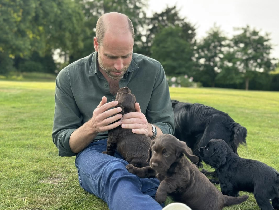 15 năm, 3 con, 2 chú chó và 1 bức ảnh: Gia đình William – Kate giờ trông như thế này