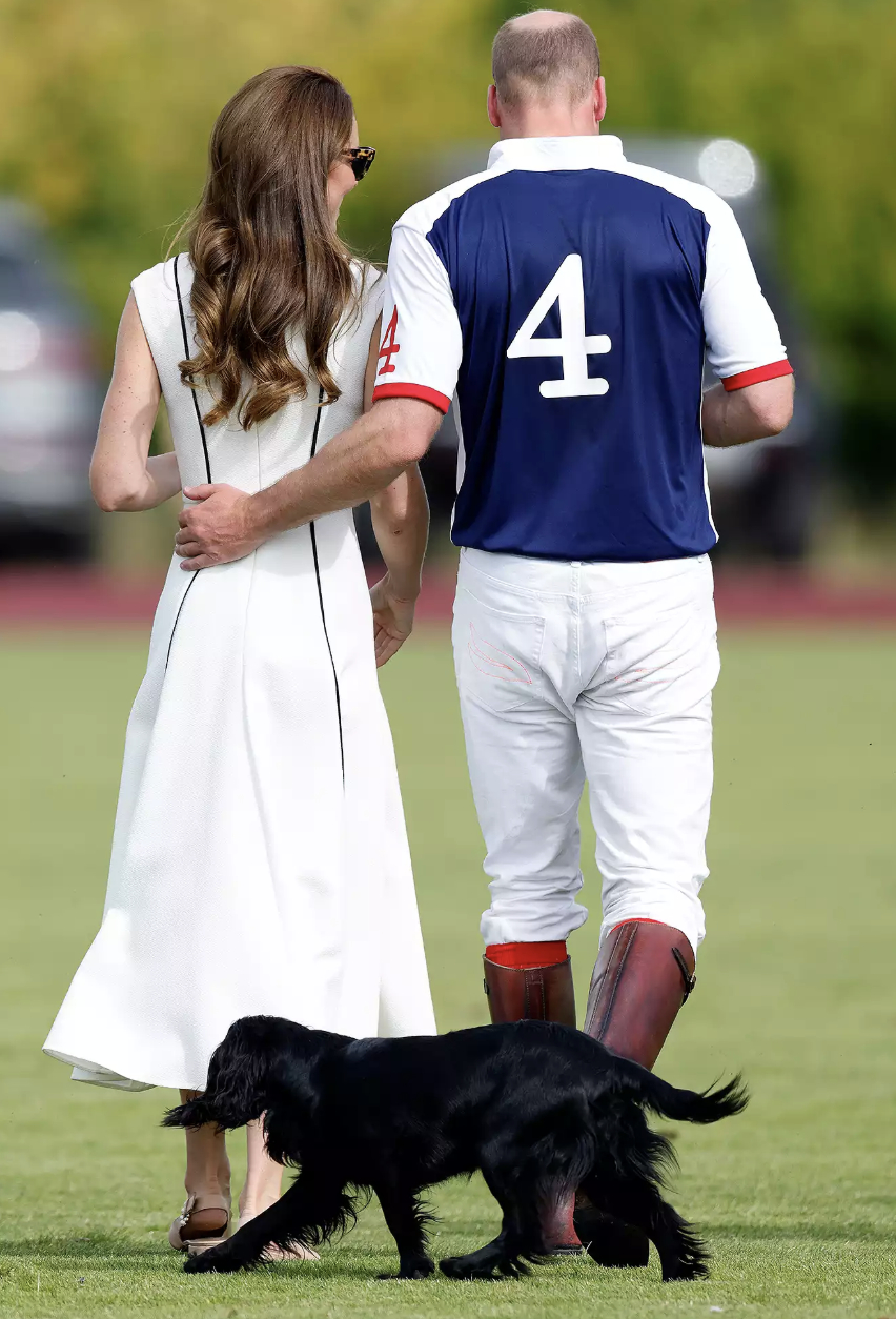 15 năm, 3 con, 2 chú chó và 1 bức ảnh: Gia đình William – Kate giờ trông như thế này