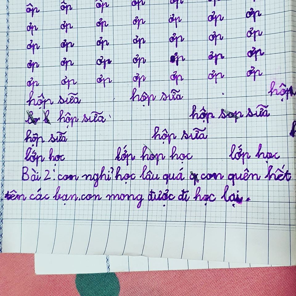 Cười chảy nước mắt với đoạn văn tả bạn sau kỳ nghỉ của học sinh TP.HCM: Thấy 