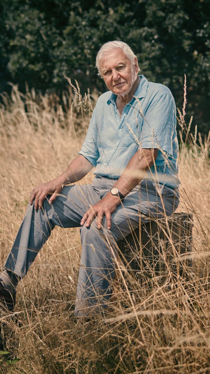100 năm Sir David Attenborough - giọng nói mà Trái Đất đã tin cậy suốt bảy thập kỷ 