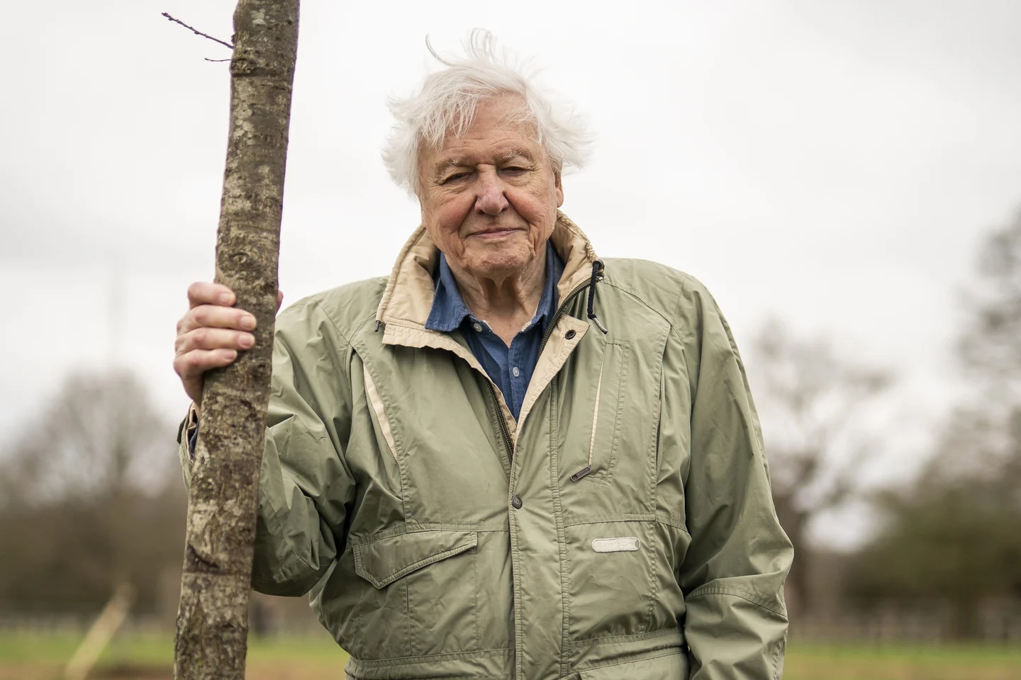 100 năm Sir David Attenborough - giọng nói mà Trái Đất đã tin cậy suốt bảy thập kỷ 