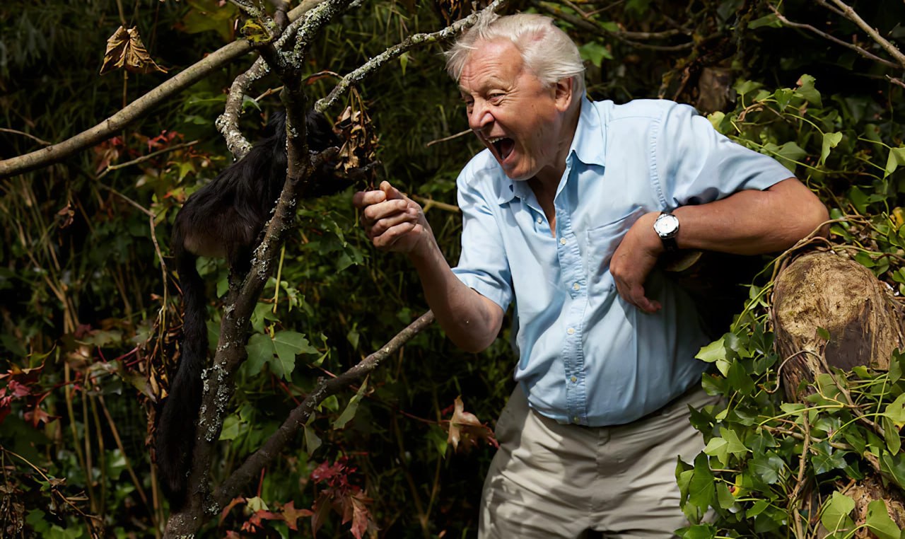 100 năm Sir David Attenborough - giọng nói mà Trái Đất đã tin cậy suốt bảy thập kỷ 