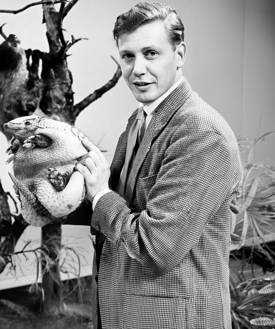 100 năm Sir David Attenborough - giọng nói mà Trái Đất đã tin cậy suốt bảy thập kỷ 