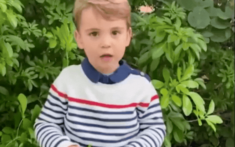 Giọng nói đáng yêu của Hoàng tử Louis trong video gửi Sir David Attenborough gây sốt mạng xã hội