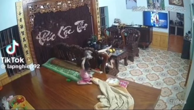 Bé gái thản nhiên ném mạnh khiến chú mèo con liệt 2 chân sau: “Trẻ con biết gì đâu” có nên là cái cớ cho hành vi bạo lực?