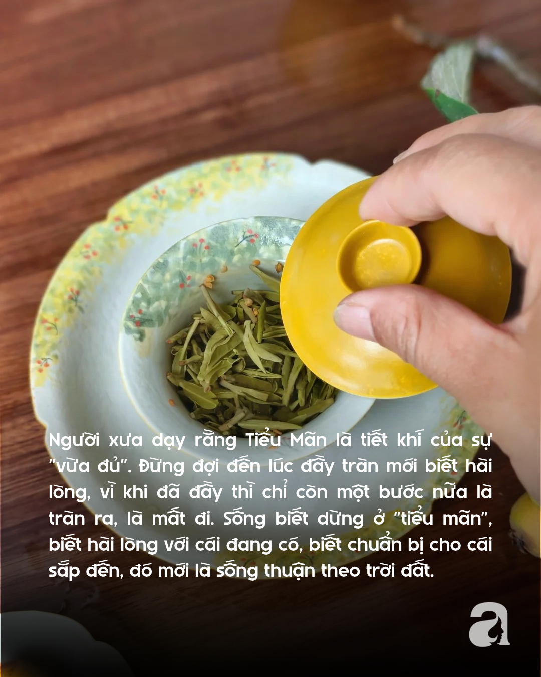 Tiết Tiểu Mãn bắt đầu ngày 21/5 ai cũng nghe nhưng ít người hiểu: 