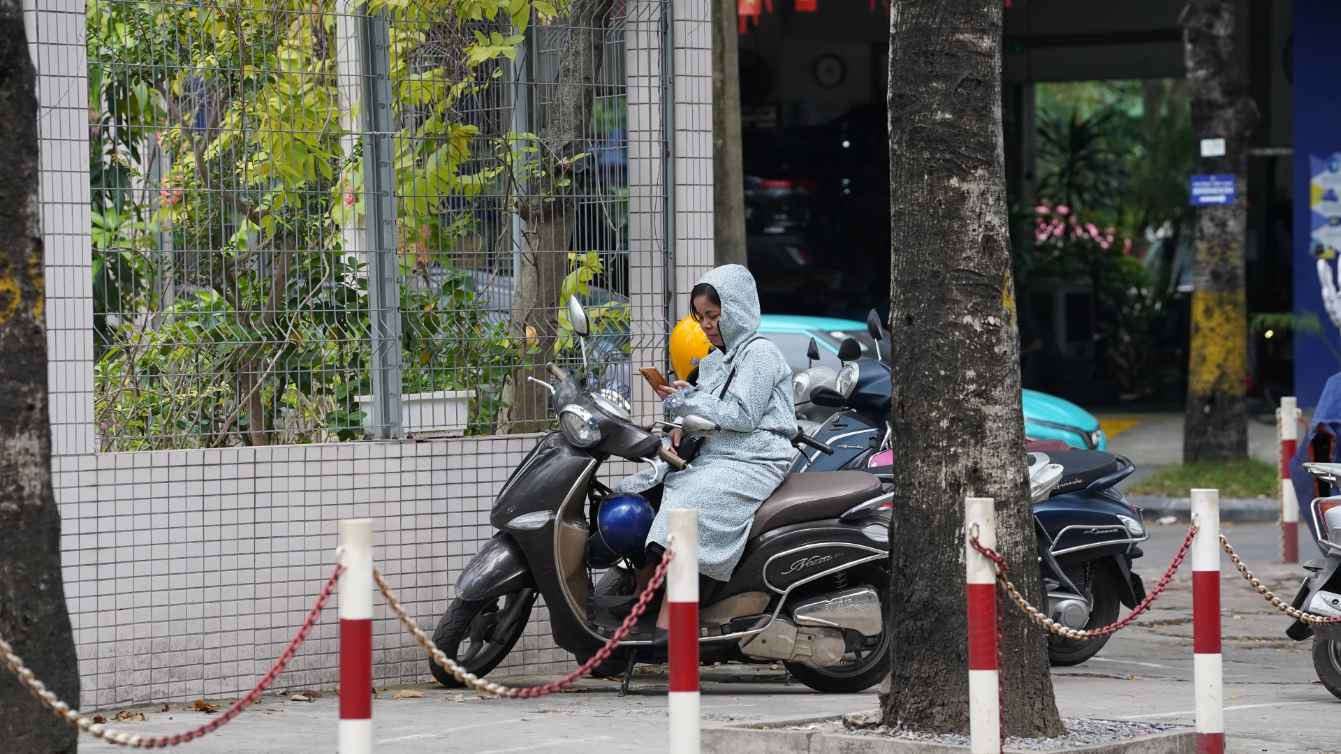 May quá! Thời tiết Hà Nội chiều nay chỉ nắng nhẹ, phụ huynh ngồi chờ con cũng