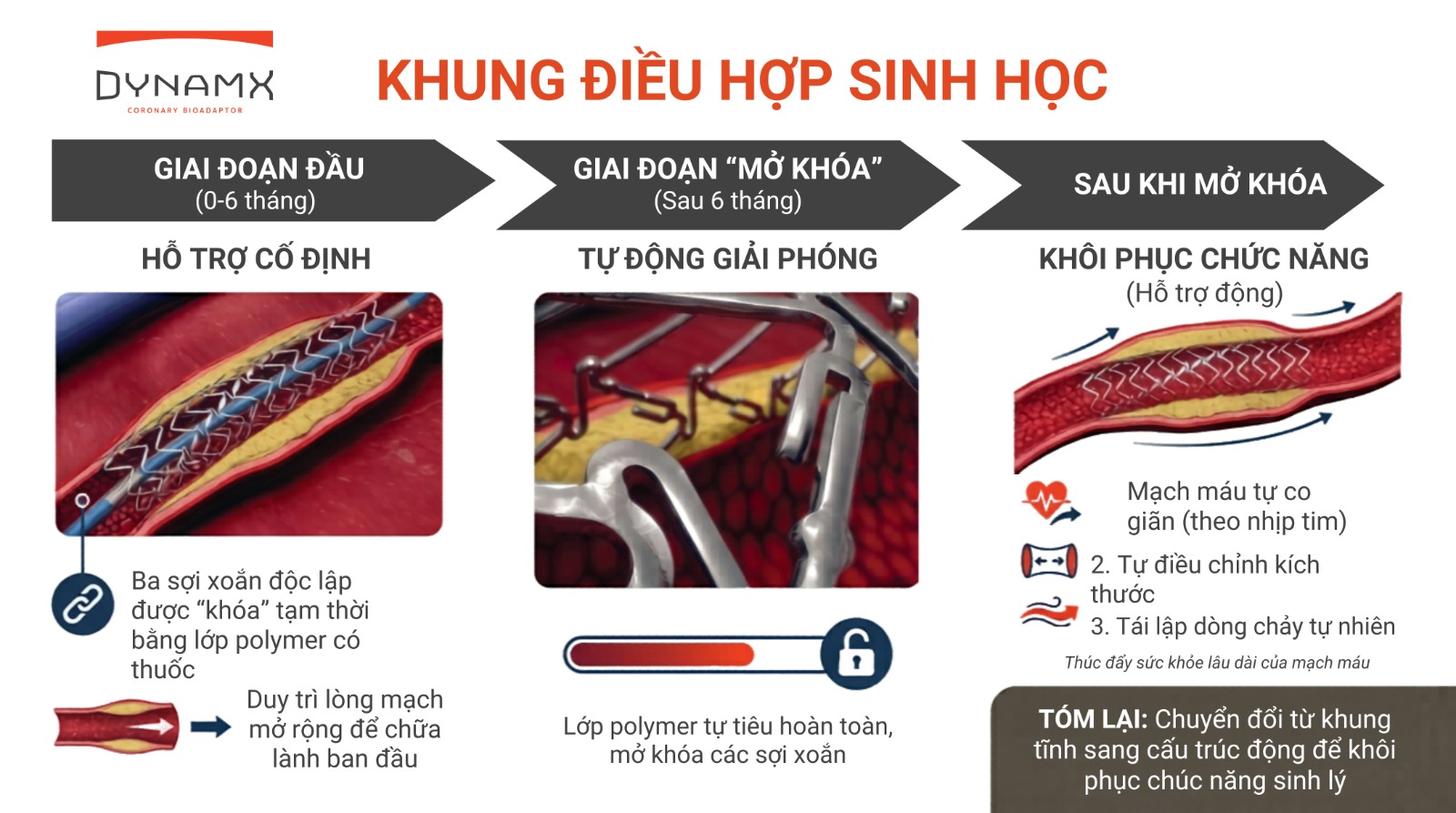 DynamX Bioadaptor có cấu trúc các khớp nối tự tách đặc biệt, giúp giải phóng mạch máu, phục hồi tính đàn hồi và chức năng sinh lý tự nhiên của thành mạch