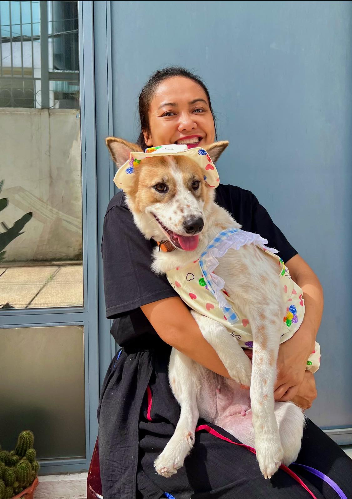 Hồng Ánh ở tuổi U50 sau cuộc hôn nhân không con cái: Bao dung với những điều không trọn vẹn, yêu thương cả những gì không thuộc về mình