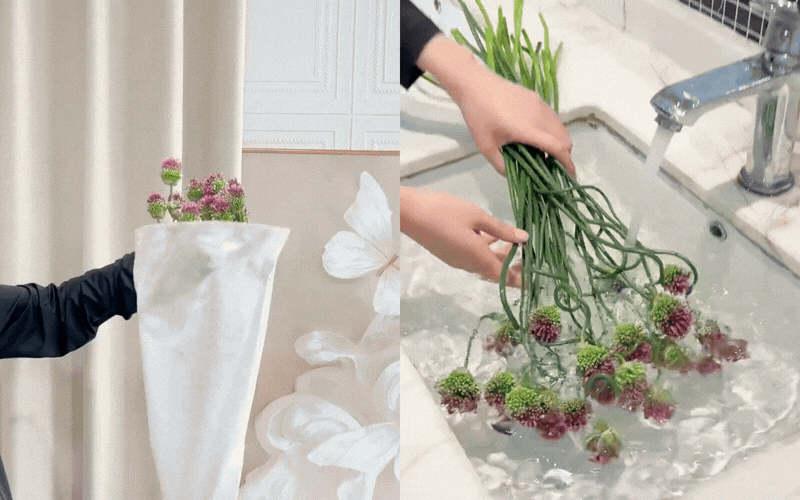 Bóc trần lời đồn về hoa hành uốn cong cắm bình 2 năm không héo: Tín đồ yêu hoa tháng 6 nhất định phải biết