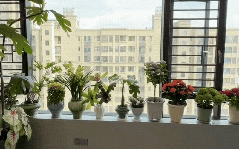 Triết lý