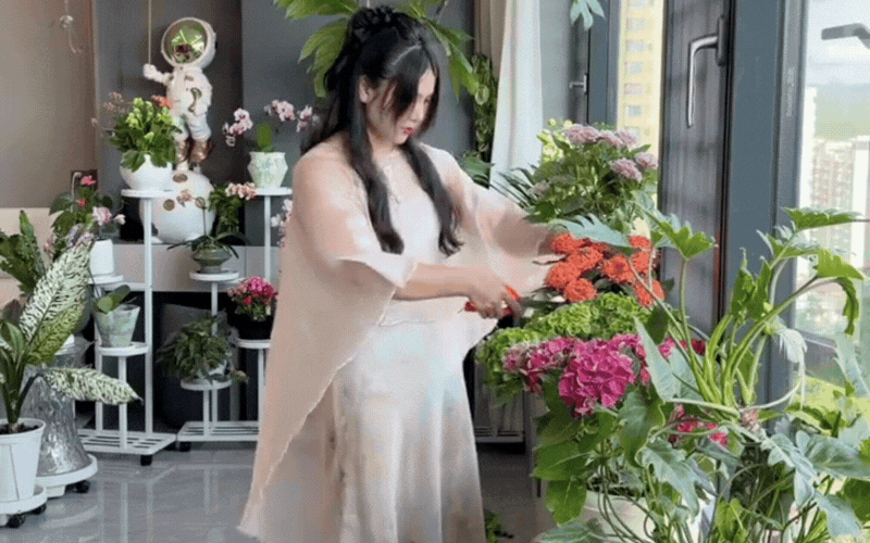Triết lý 'tứ dưỡng' gây bão mạng: Bí quyết chọn bạn mà chơi, chọn cây mà trồng để đời luôn an nhiên