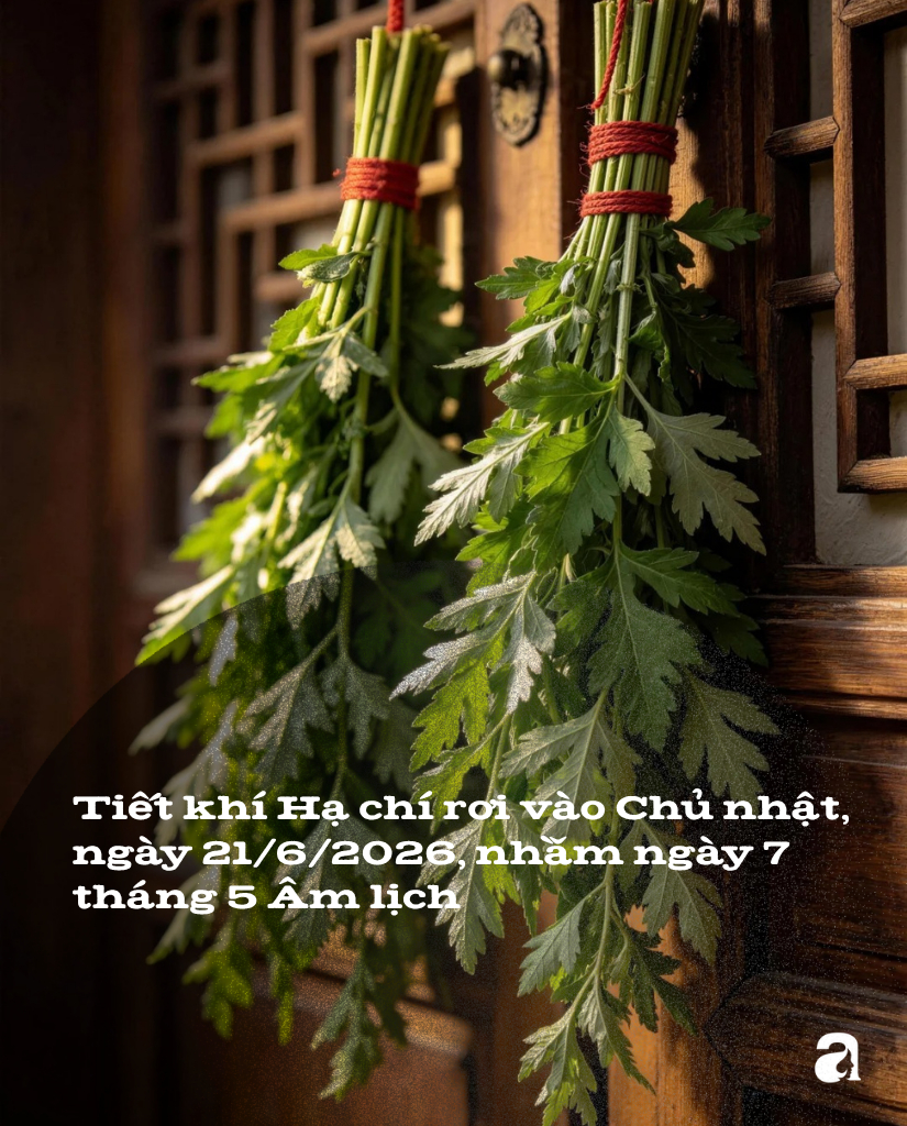 Hạ chí là gì?
