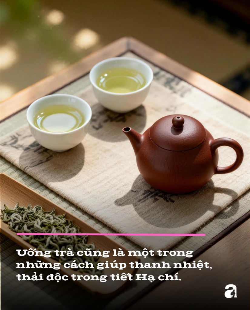 Hạ chí là gì?