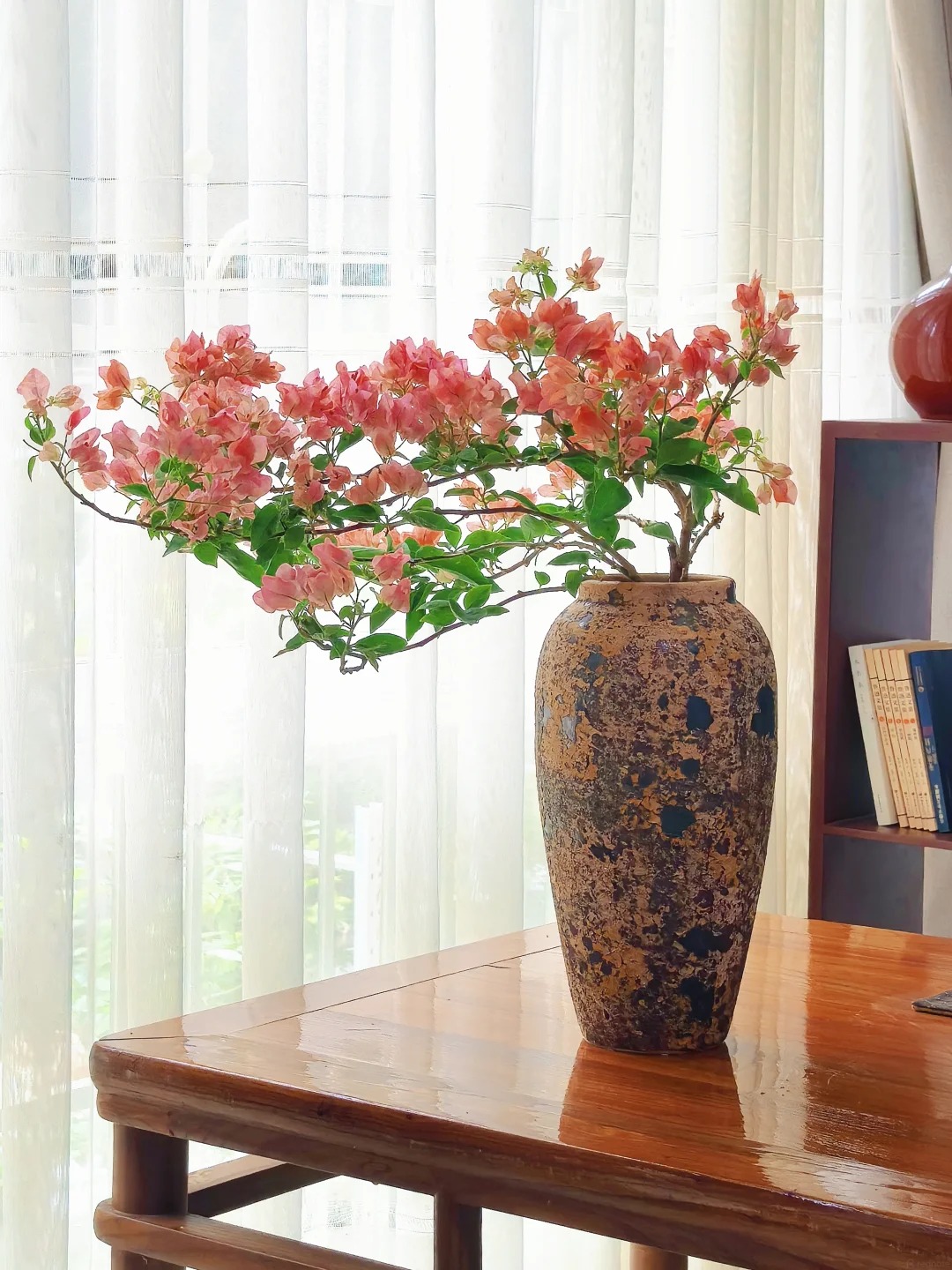 Lời khuyên cho người muốn trồng hoa giấy bonsai trong nhà