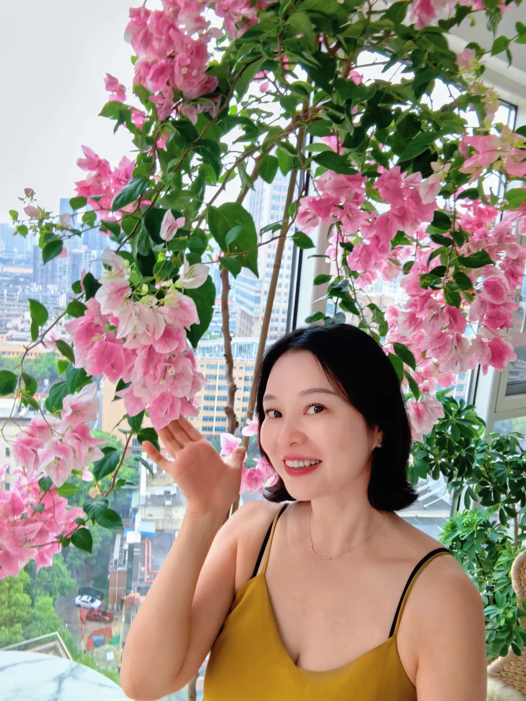 Lời khuyên cho người muốn trồng hoa giấy bonsai trong nhà