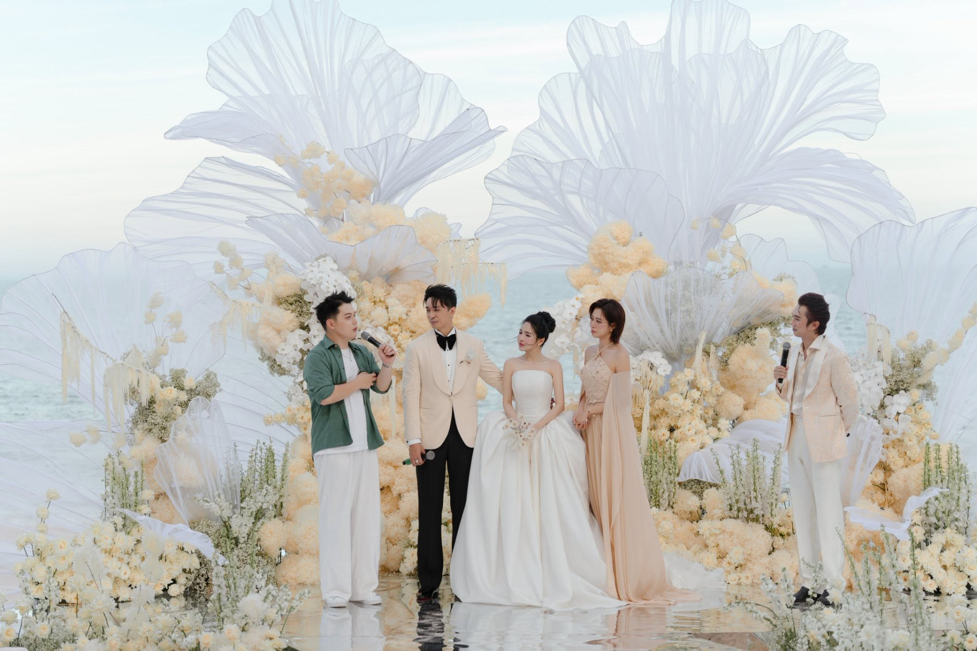 Từ chiếc vỏ sò đến những con sóng được