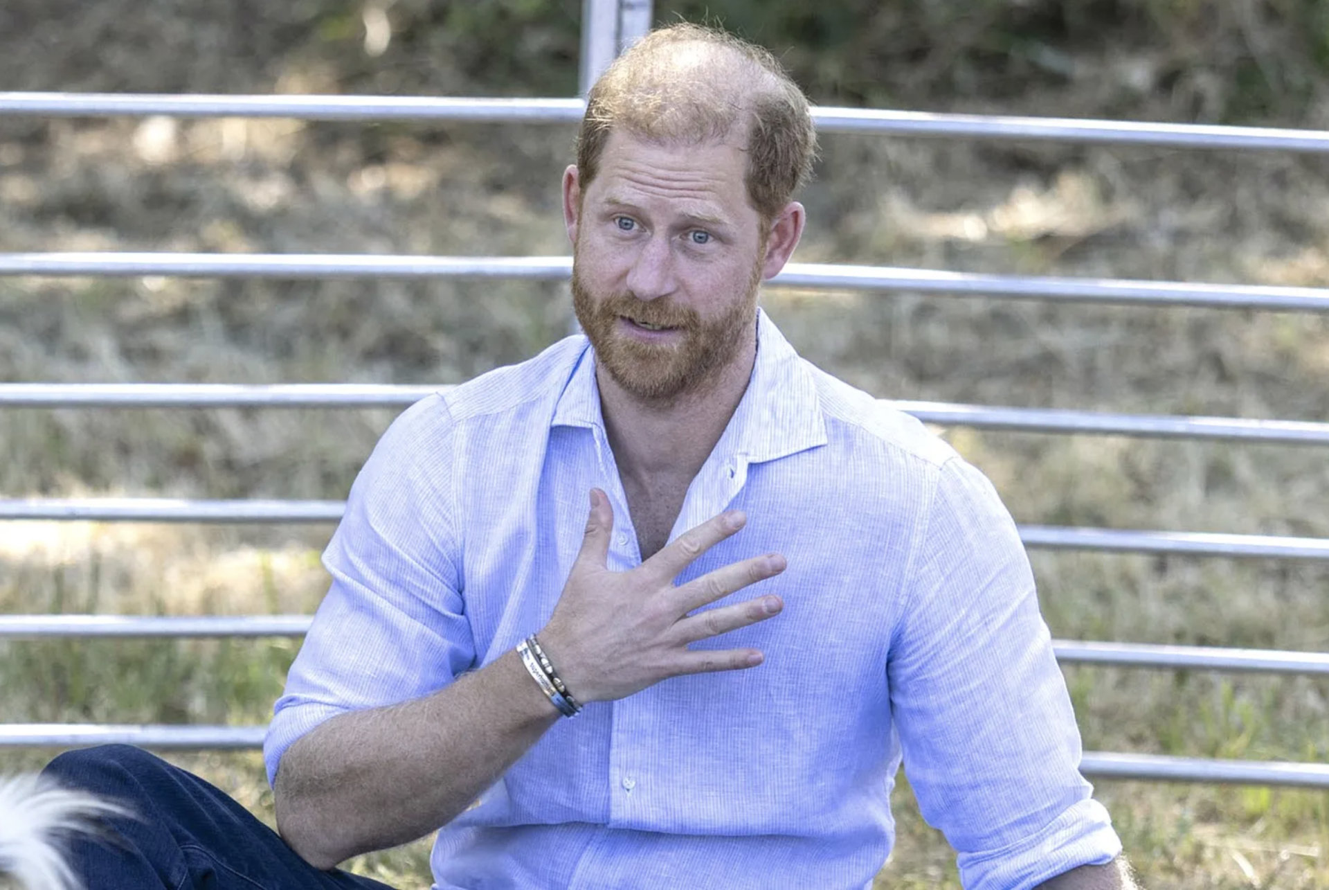 Vương tử Harry bị dê 