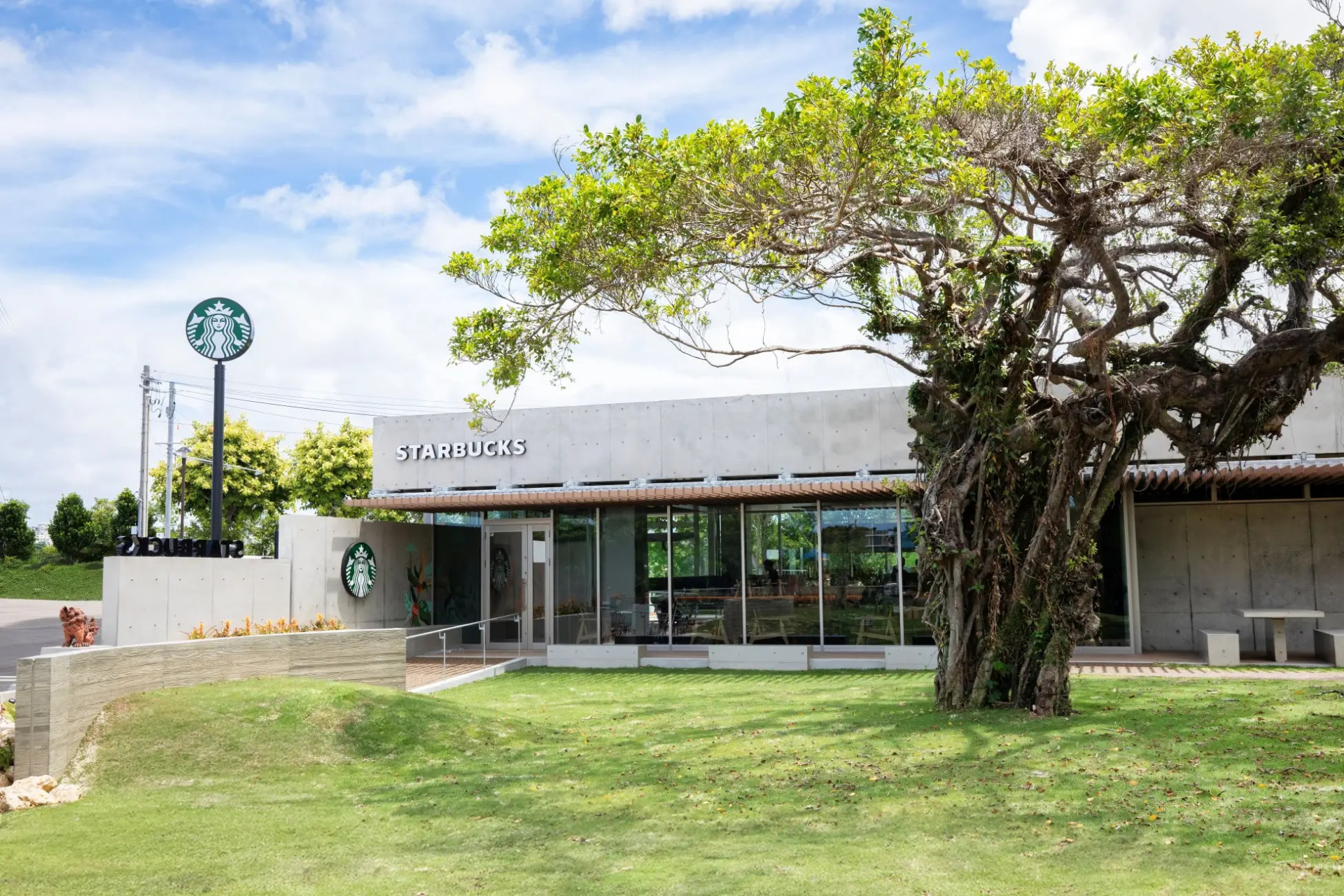 Starbucks phát chiếu cho khách ngồi: Chiêu giữ chân khách hay để đỡ 