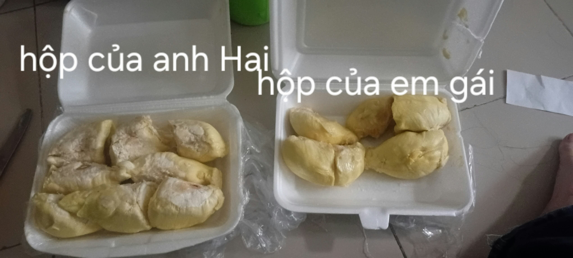 Bức ảnh gây chú ý