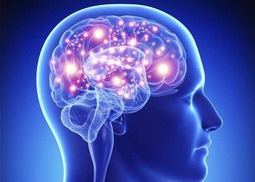 “Thùy trán não bộ trẻ đang cầu cứu