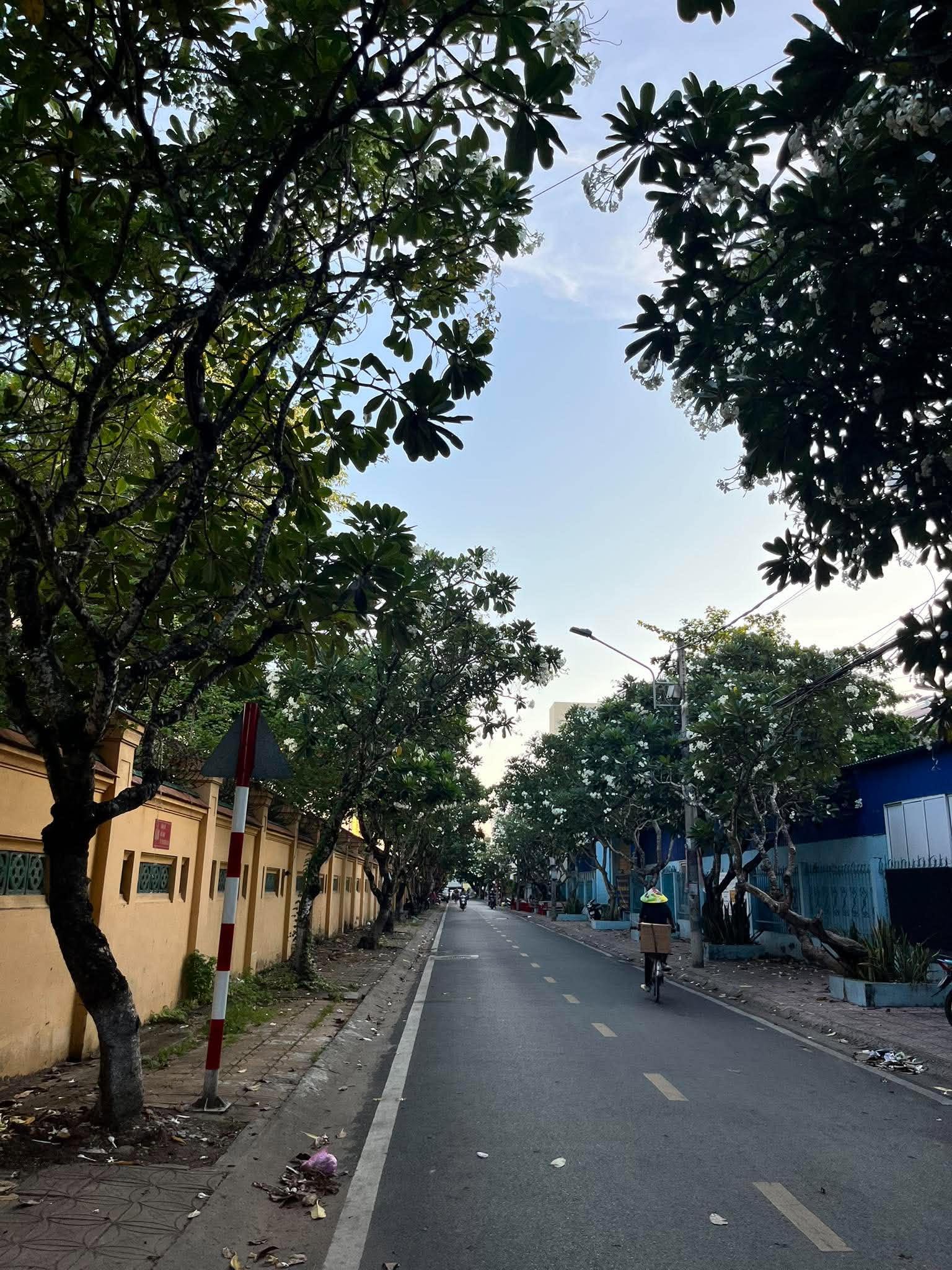 Ngôi trường trăm tuổi từng khiến dư luận