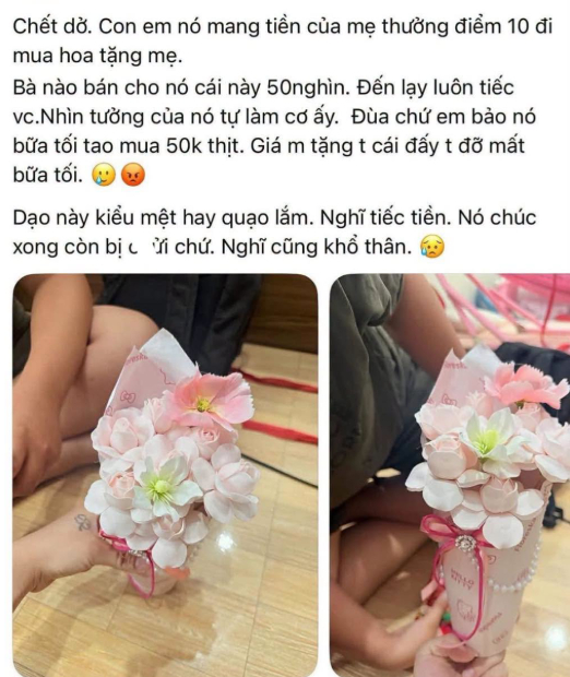 Bài đăng của người mẹ