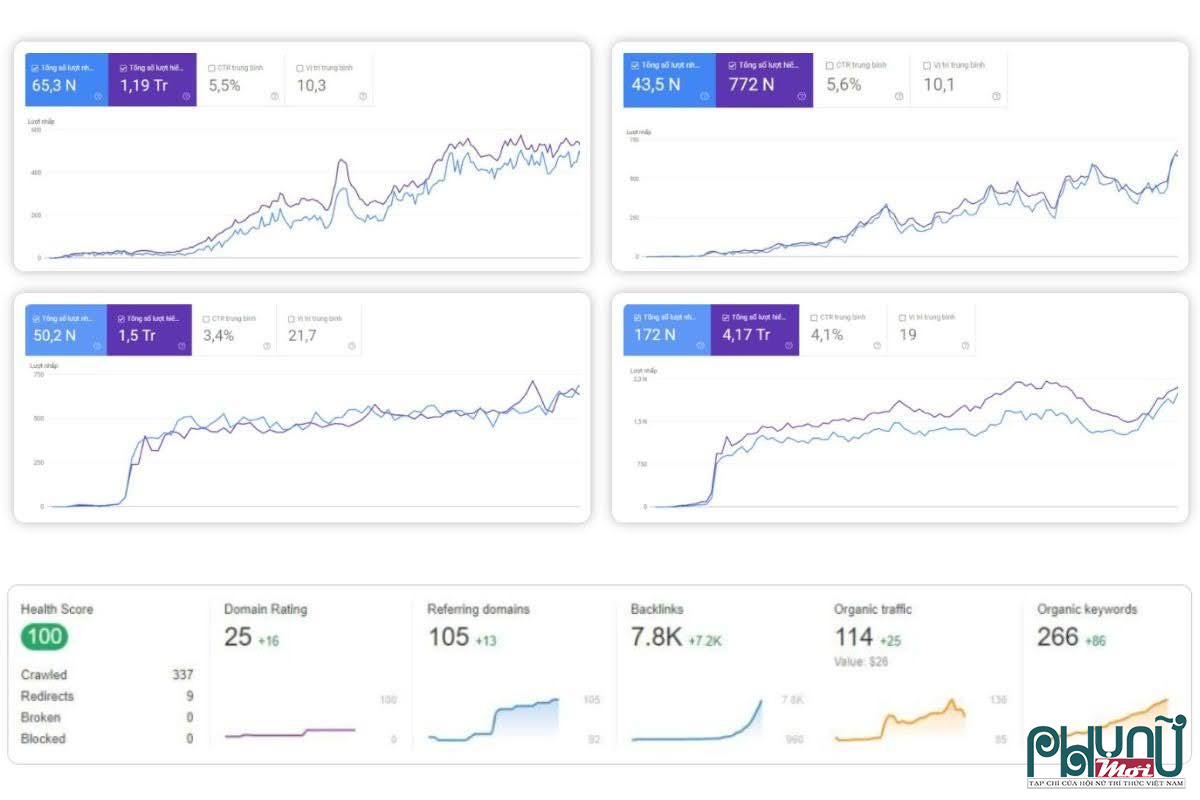 Tại sao nên chọn dịch vụ backlink của DanaSEO?