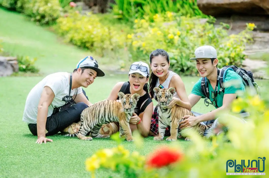 Nơi đây còn có khu zoo walk với nhiều hoạt động tham quan hấp dẫn dành cho du khách