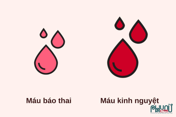 Máu báo có thai có màu hồng nhạt hoặc nâu sẫm, lượng ít