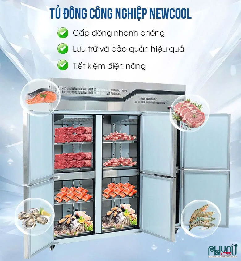 Tủ đông inox công nghiệp