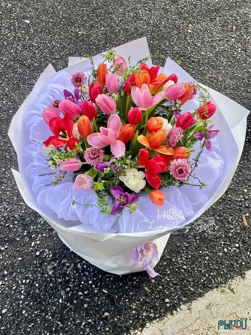 Bó hoa tulip mix Hà Lan gỗ gardening – Hoa Lang Thang